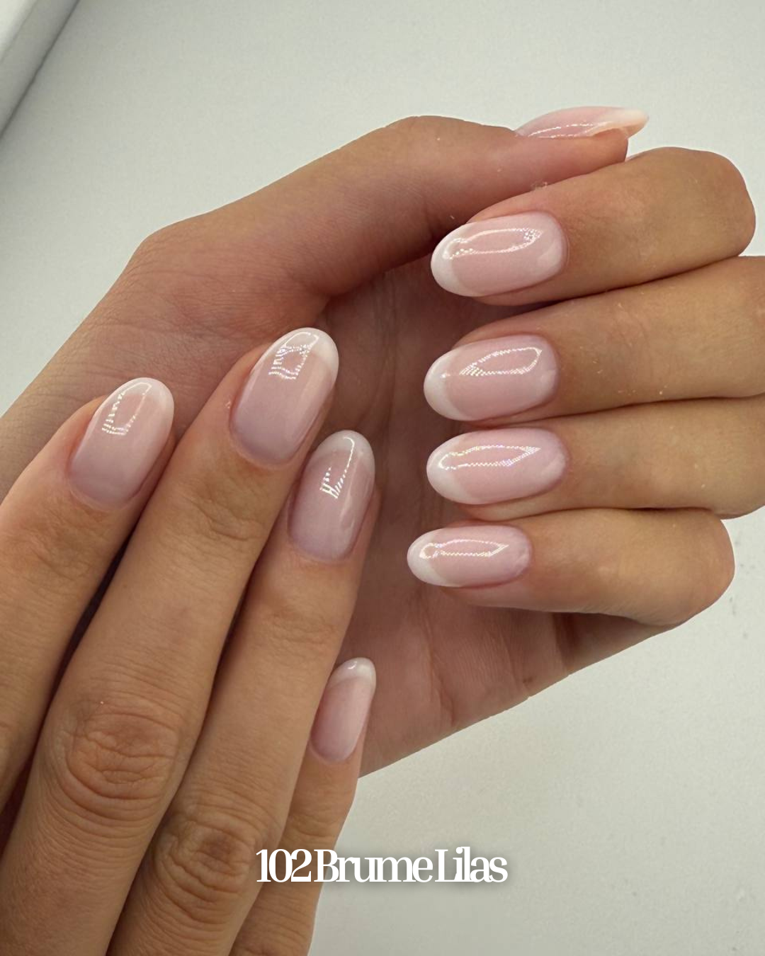 Honey Builder Gel Collection