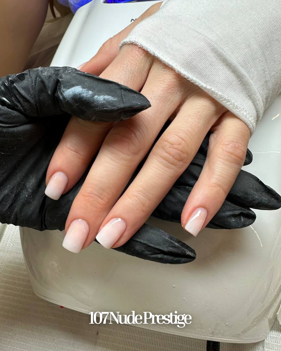 Honey Builder Gel Collection