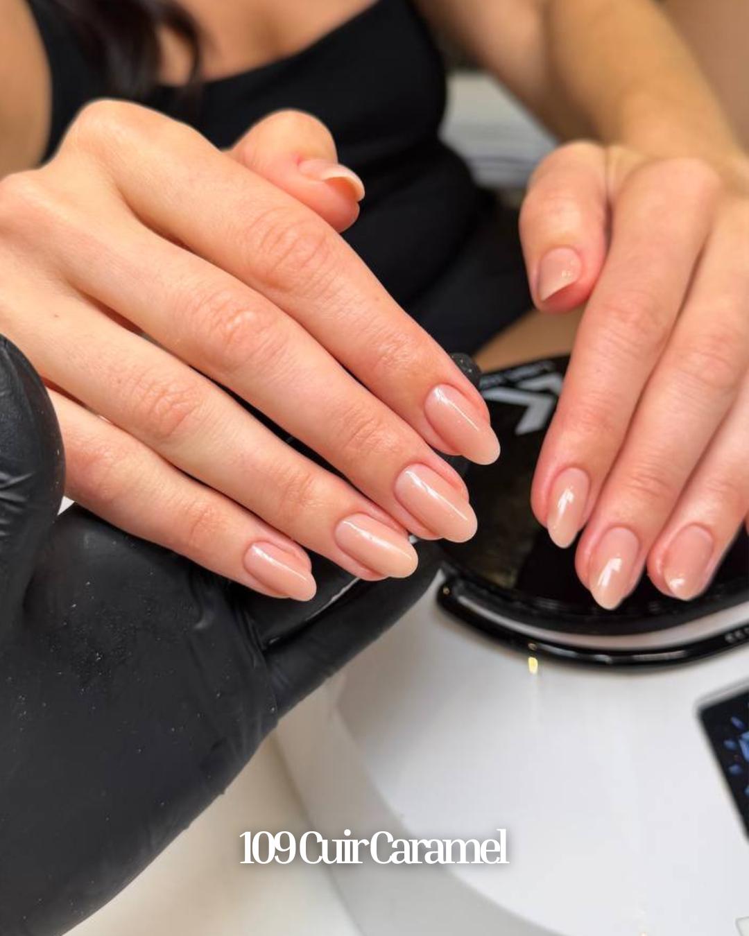 Honey Builder Gel Collection
