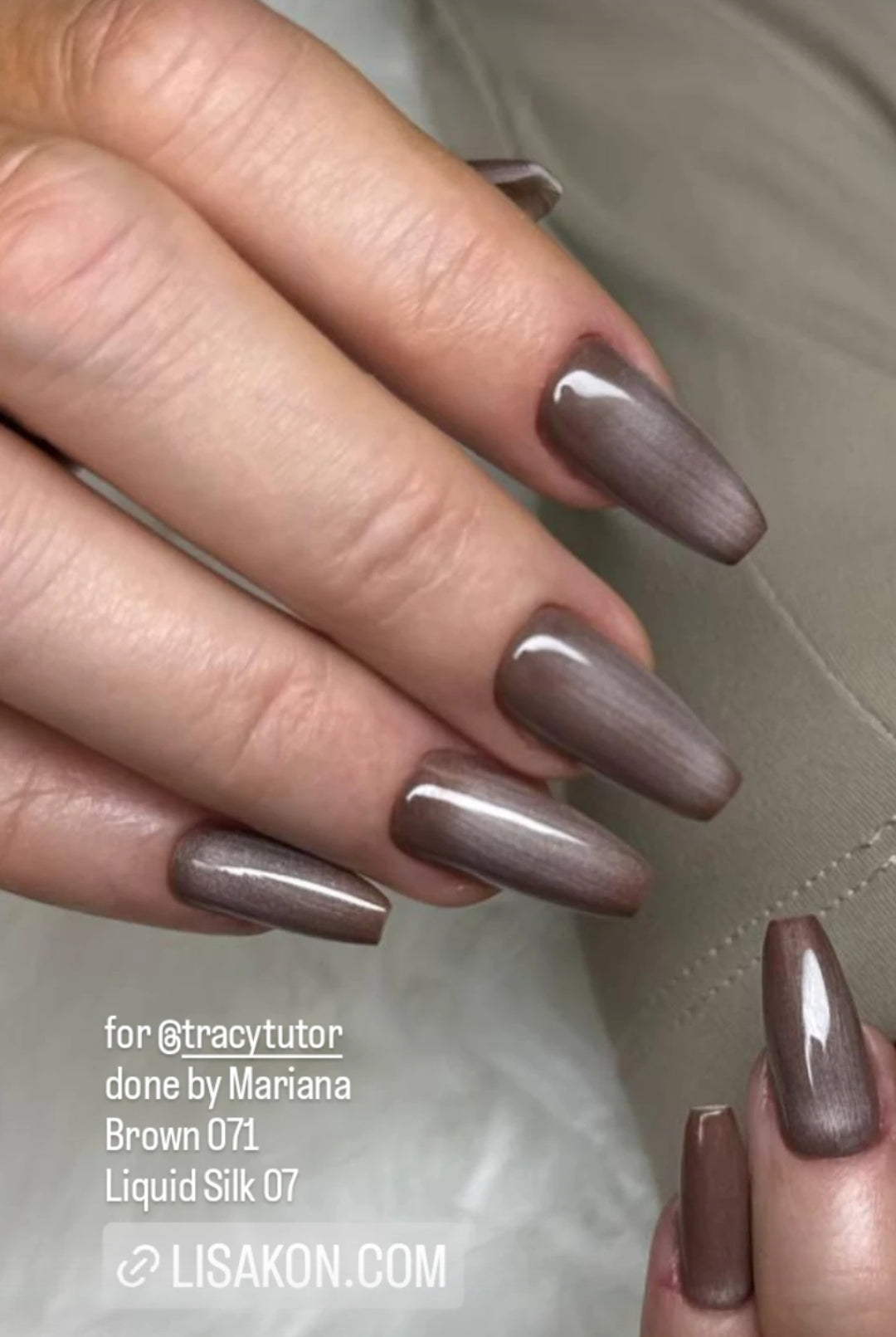 Lisa Kon Liquid Silk Cat Eye Gel Polish Collection — 12 Stunning Shades